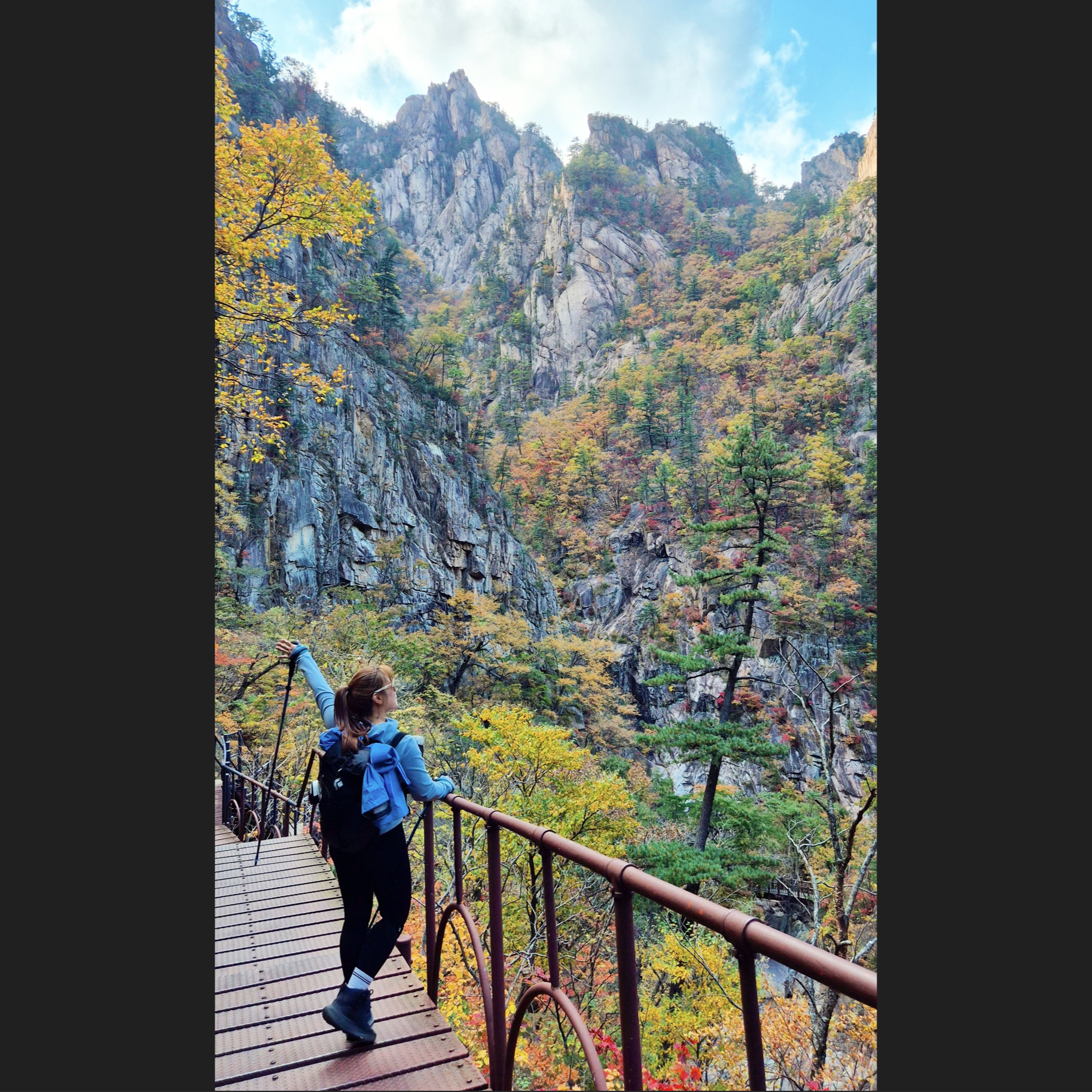 회원 사진