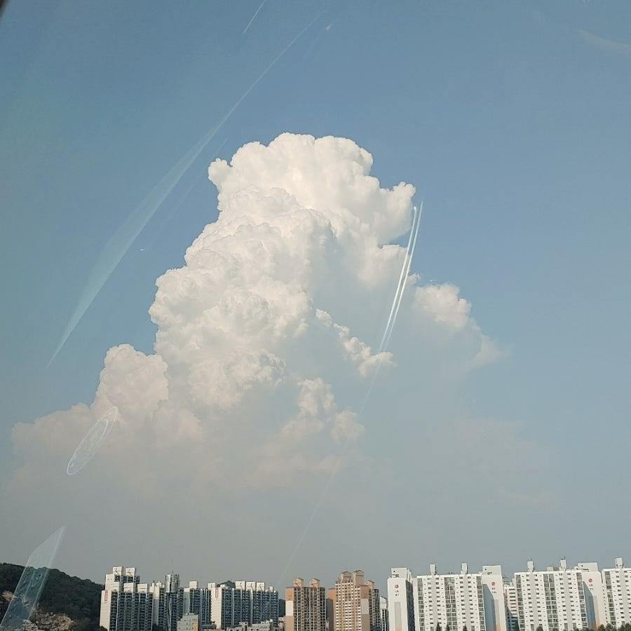 회원 사진