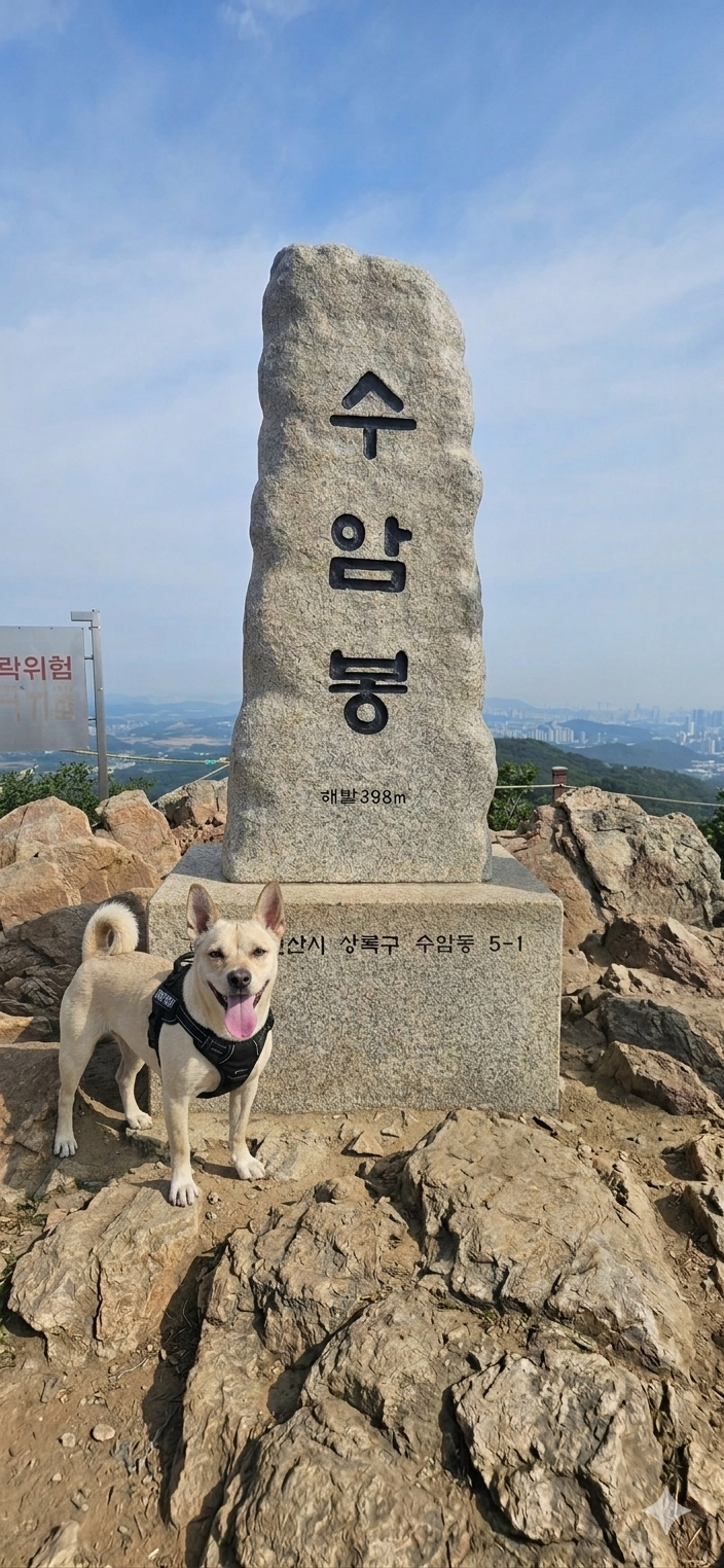 정상석 사진