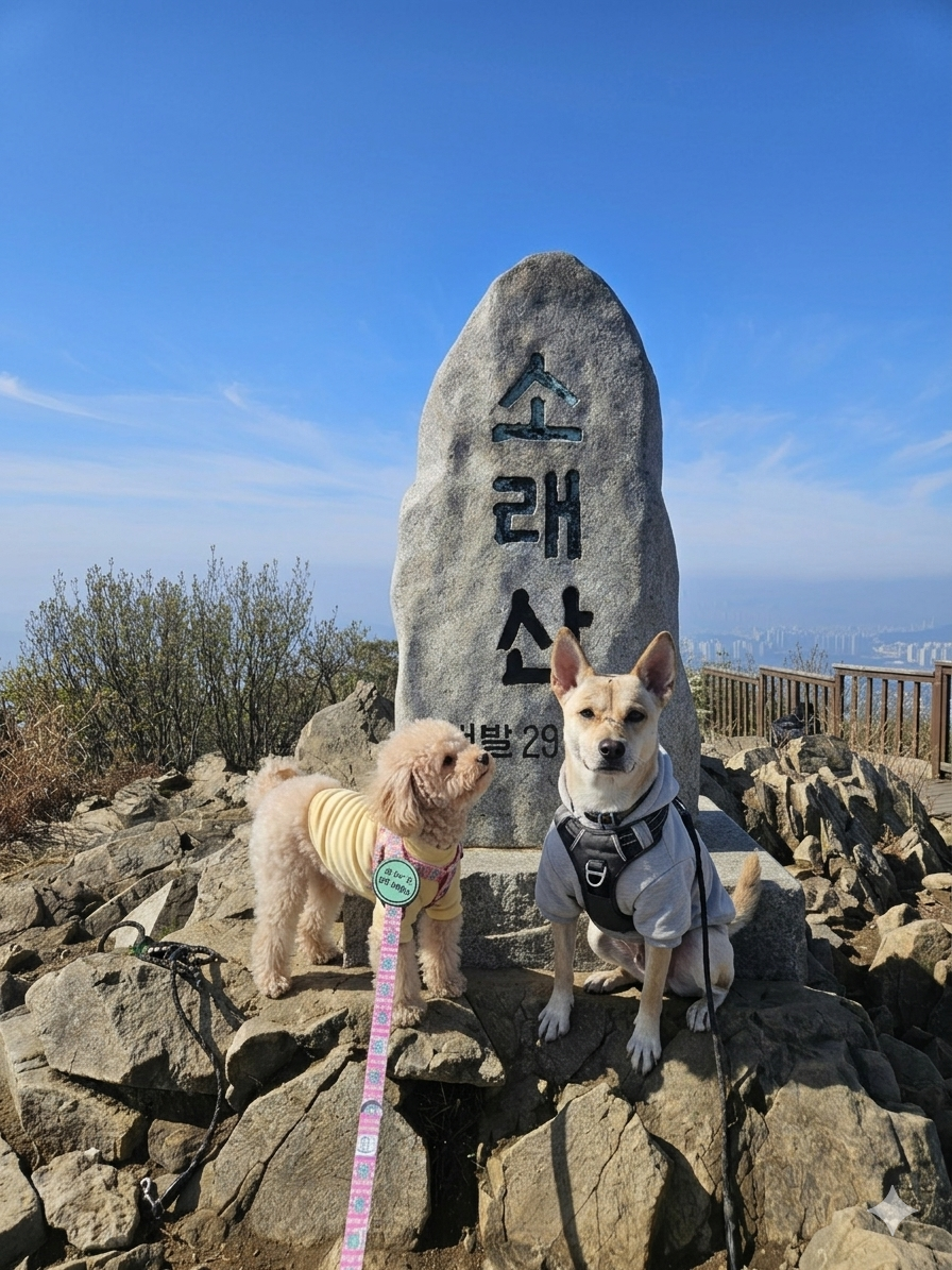 정상석 사진